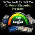 12 Month Disputing Program